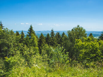 7 Tage in Ostwestfalen Lippe zw. Teutoburger Wald & Weser Bergland 