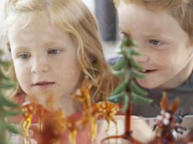 4 Tage Wanderlust im Thüringer Wald h