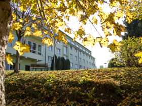 4 Tage Wanderlust im Thüringer Wald h