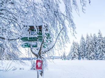 Winterurlaub im Thüringer Wald mit HP