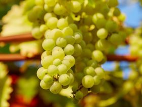 5 Schnuppertage im Saaletal 