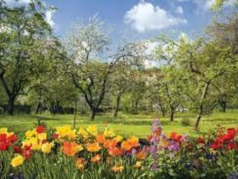 Start in den Frühling