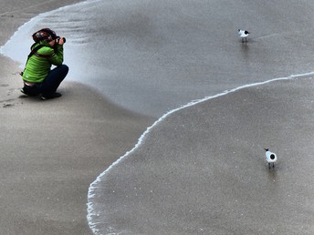 Frühlingserwachen auf dem Fischland Darß