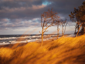 Die Faszination Herbst in Zingst erleben