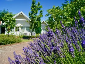 4 Übernachtungen mit Silvesterparty an der Ostsee