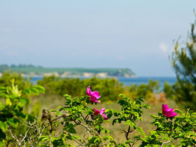 4 Übernachtungen mit Silvesterparty an der Ostsee
