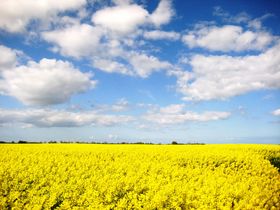 4 Übernachtungen mit Silvesterparty an der Ostsee