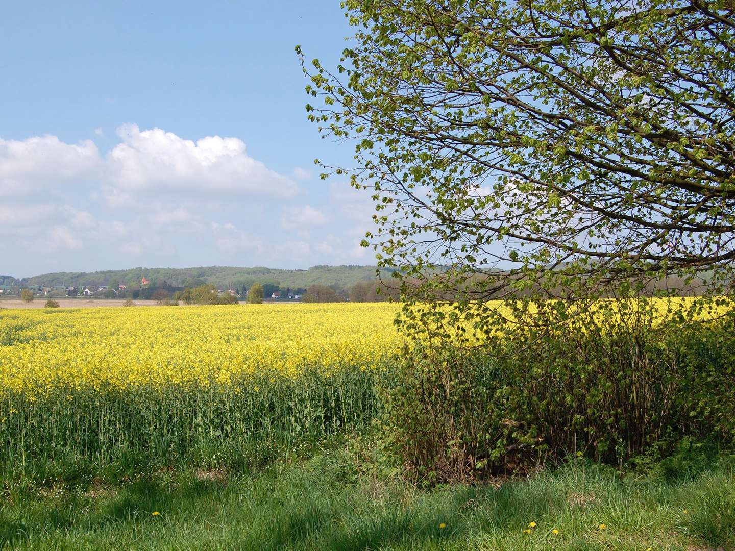 5 Tage Rügen - Tradition mit Herz & einem Lächeln