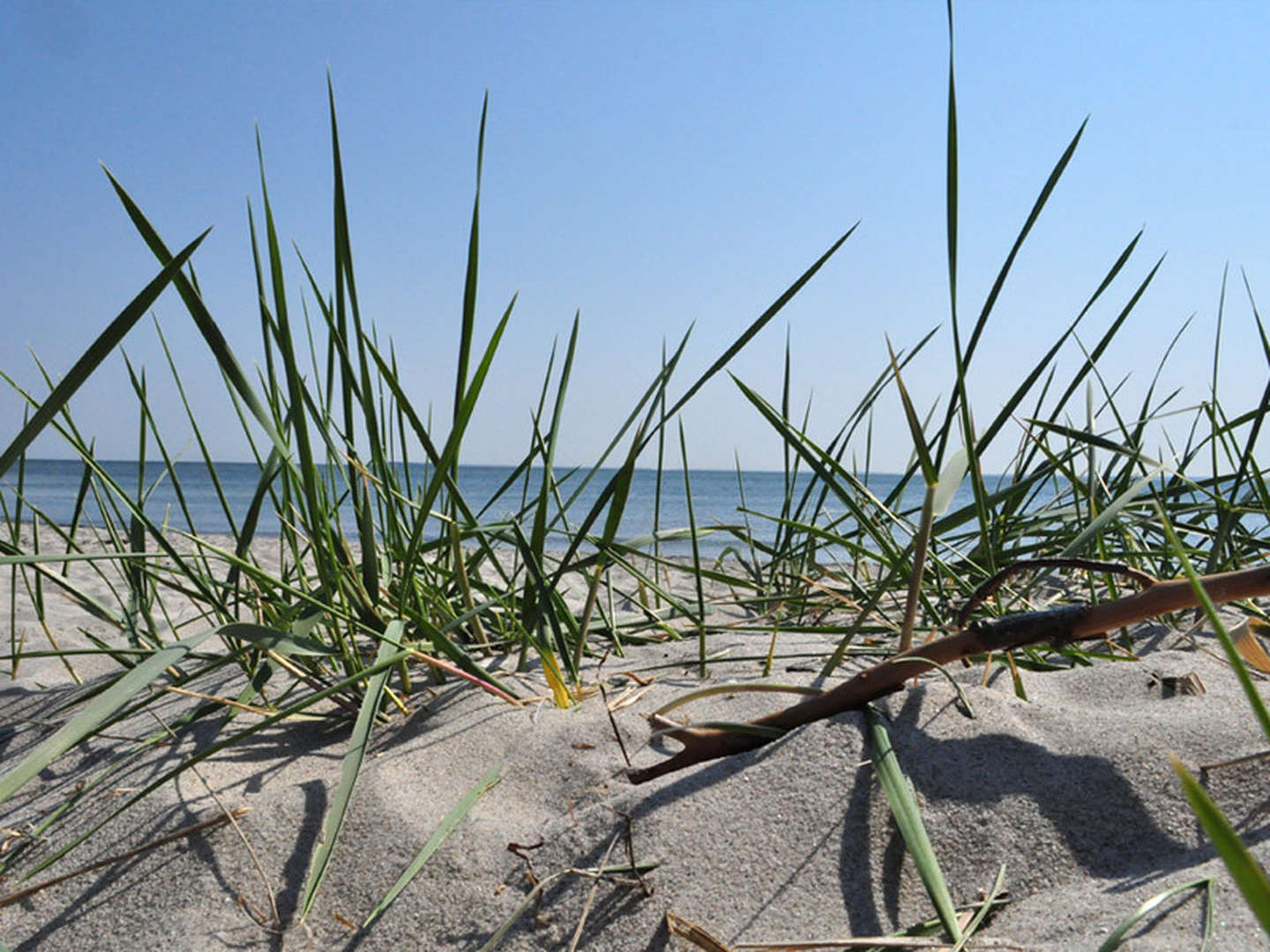 5 Tage Rügen - Tradition mit Herz & einem Lächeln