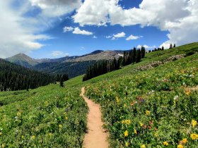 SPECIAL DEAL - Wellnesszeit ist Quality Auszeit in Steibis