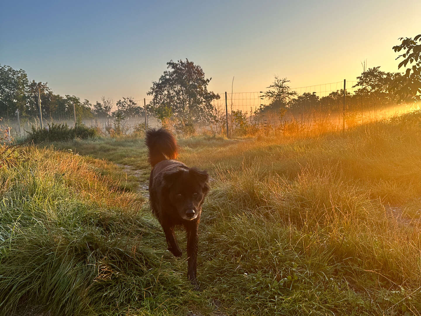 3 Tage Urlaub mit Hund eine  Auszeit für Zwei- und Vierbeiner