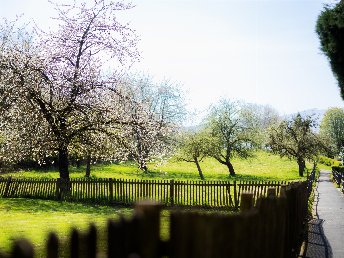 3 Tage Wandern im Sauerland inkl. Lunchpaket & 3-Gang-Menü