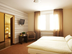 Bärenstarker Kurzurlaub | 3 Tage am Rhein inkl. Schifffahrt & Ticket  2