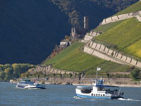 Bärenstarker Kurzurlaub | 3 Tage am Rhein inkl. Schifffahrt & Ticket  2