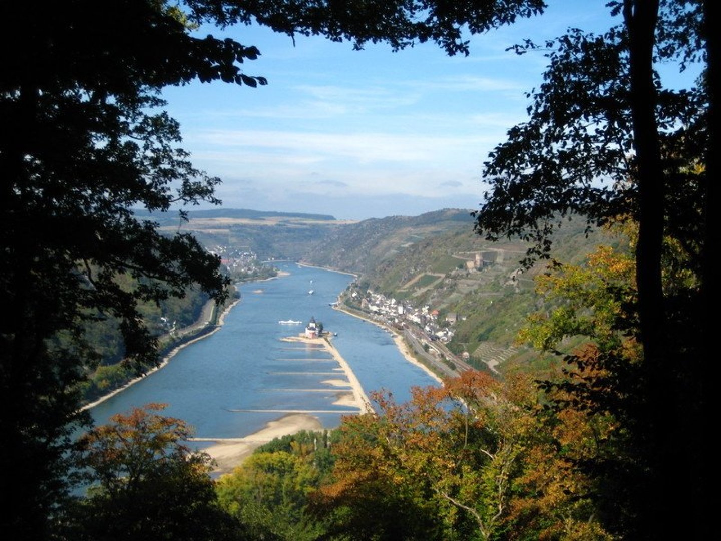 Bärenstarker Kurzurlaub | 3 Tage am Rhein inkl. Schifffahrt & Ticket 