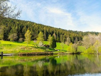 Unsere 2 Tage Auszeit im Schwarzwald