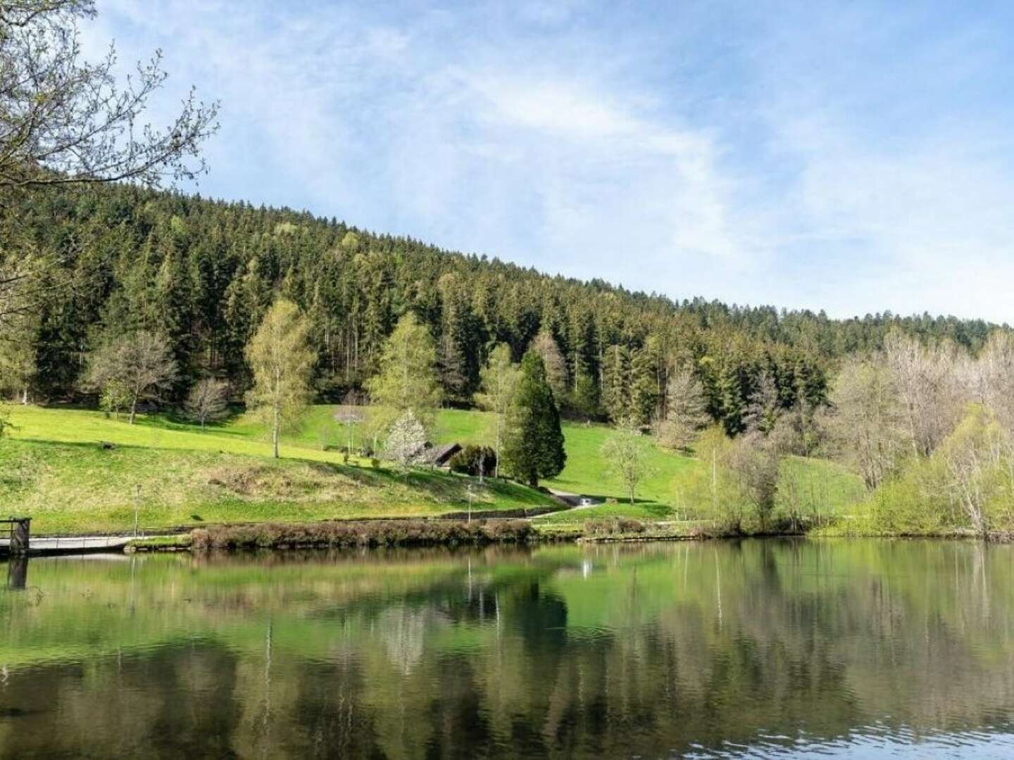 4 Tage Natur pur im schönen Schwarzwald mit Baumwipfelpfad