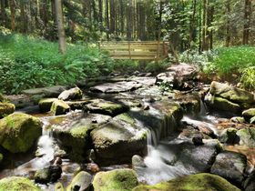 Urlaubswoche zum Wandern im Schwarzwald 