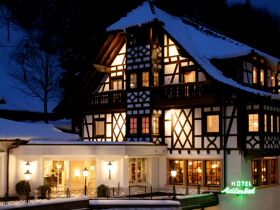 Weihnachtszauber im Schwarzwald 6 Tage