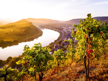 Schlemmer-Arrangement im Weinhotel direkt an der Mosel | 3 Tage 