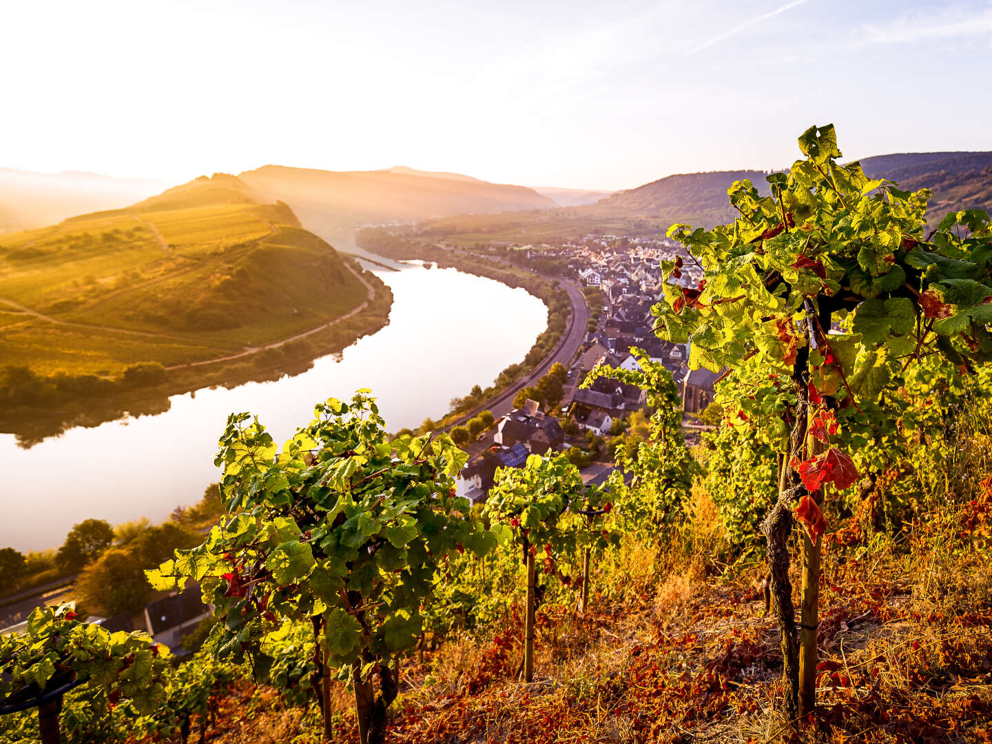 Romantik pur direkt an der Mosel inkl. HP, Massage & Wellness