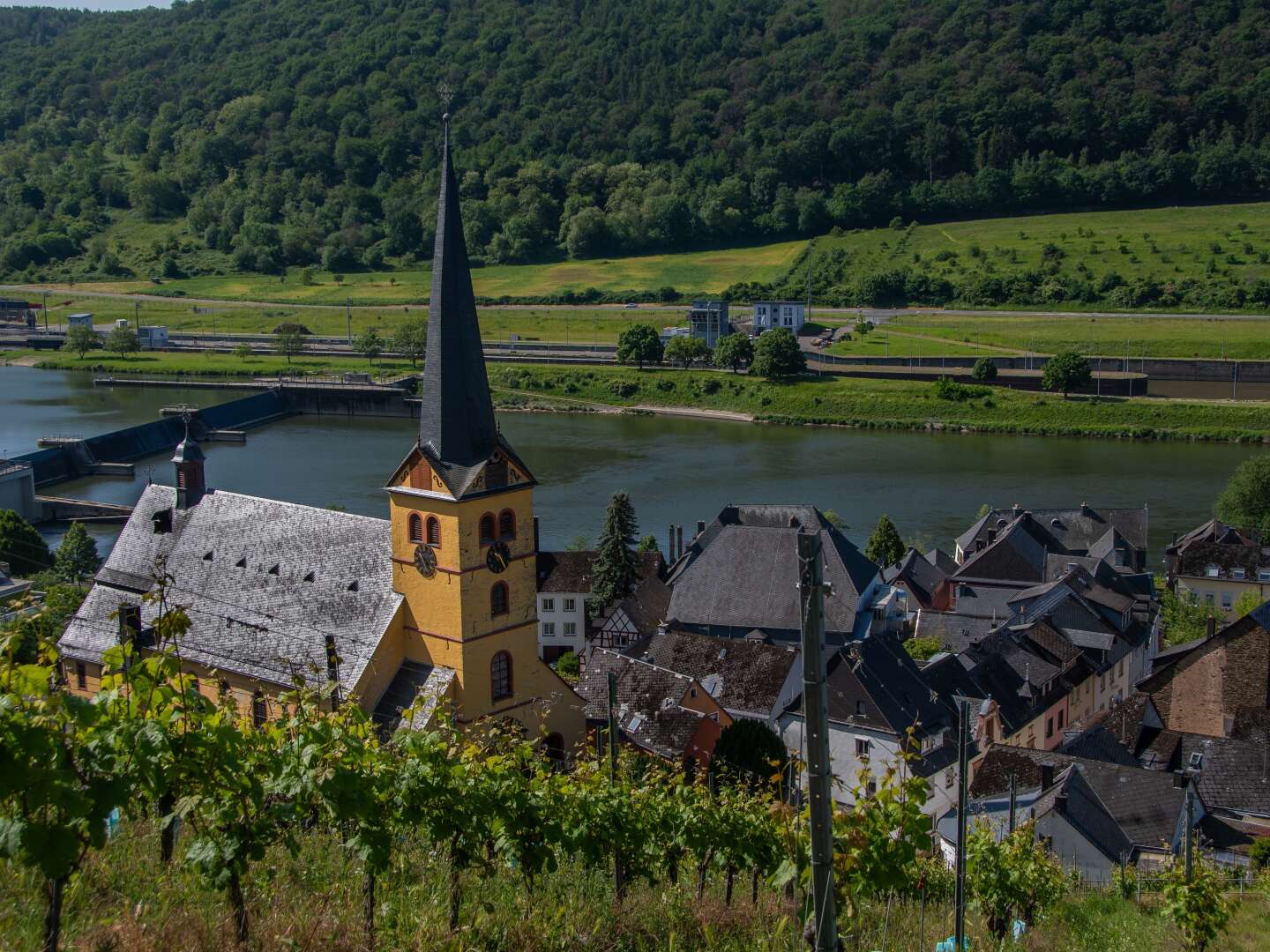 Romantik pur direkt an der Mosel inkl. HP, Massage & Wellness