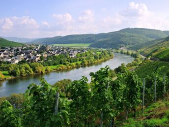 Romantik pur direkt an der Mosel inkl. HP, Massage & Wellness