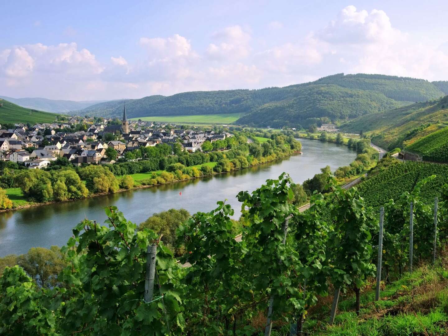 Schlemmer-Arrangement im Weinhotel direkt an der Mosel | 3 Tage 