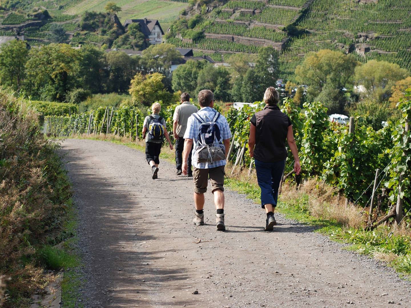 7=6  Sparangebot in herrlicher Natur rund um die Weinberge