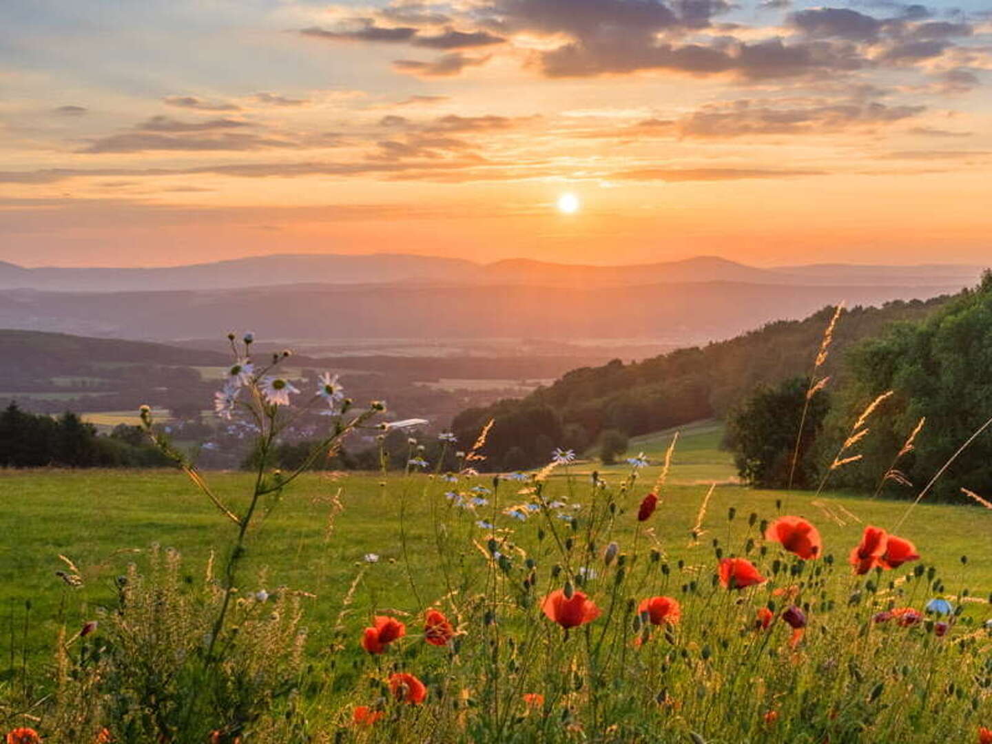 3 Tage Berghotel in der Röhnsonne - inkl. Halbpension