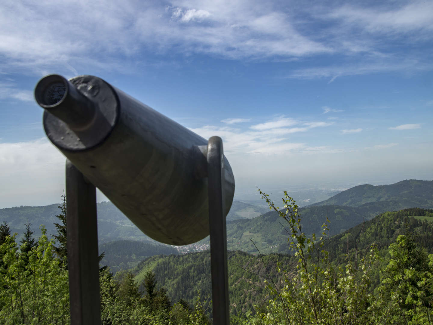 Den Schwarzwald entdecken - 4 Tage wandern