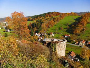 Wellness-Tage im Odenwald mit Halbpension & Massage