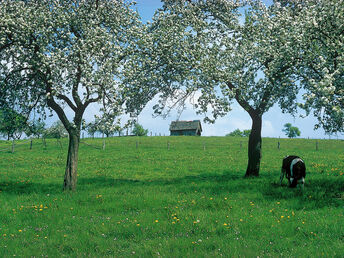 3 Wandertage im Bergischen Land inkl. Kartenmaterial 