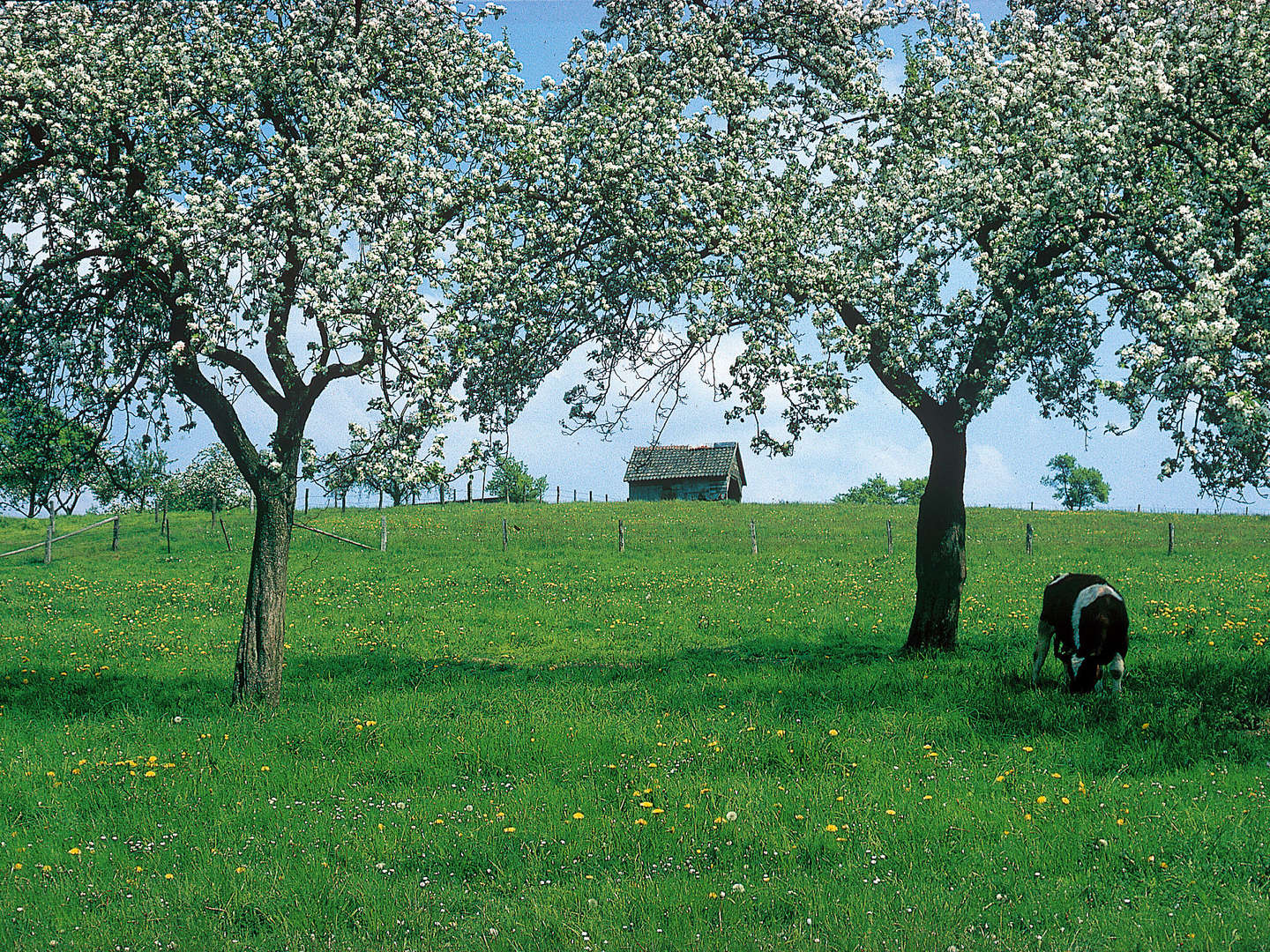 Wellnesstage Über den Dächern von Bergneustadt