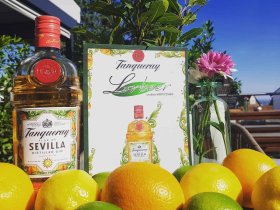 Zeit zu Zweit mit Abendessen Komfort | 2 Tage  im Taunus 