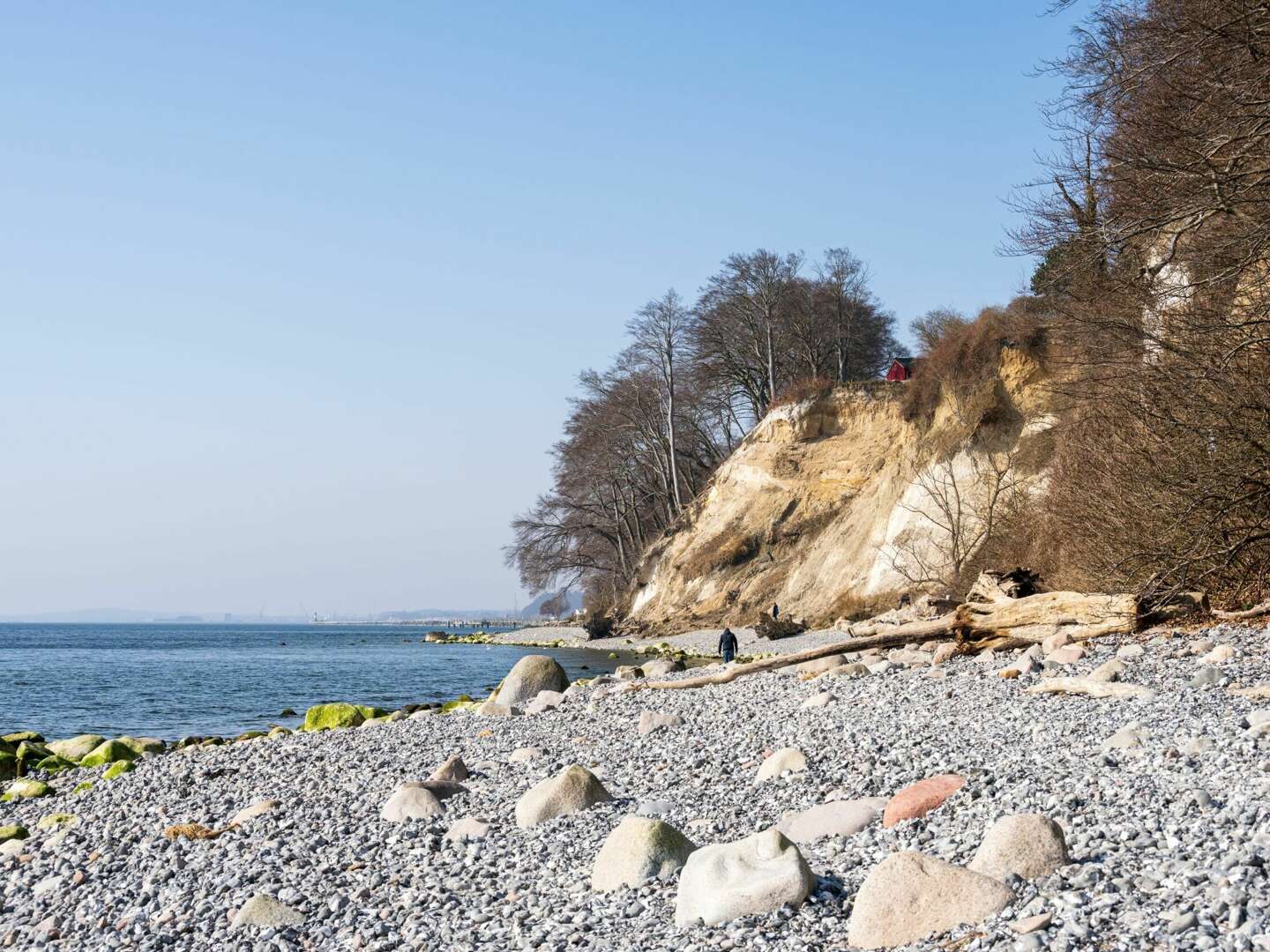 Weihnachten an Bord der Nautilus