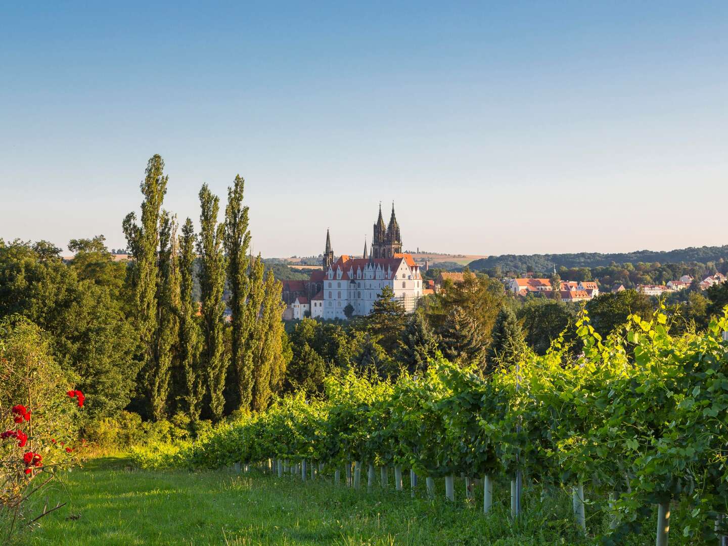 Von Moritzburg nach Dresden im Winter inkl. Abendessen