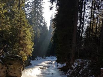 Wander-Auszeit im wildromantischen Tal der Schwarzen Pockau