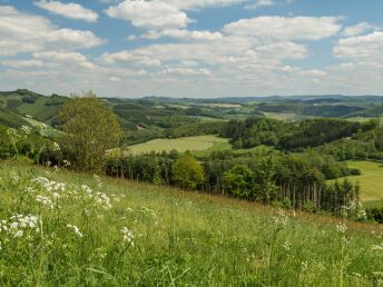 Mountainbiken - Aktiv im Sauerland 