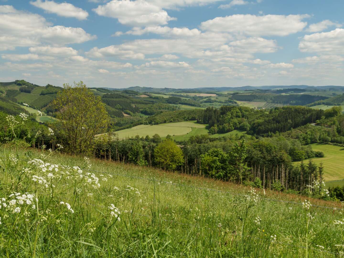 Kurztrip ins Sauerland - inkl. HP