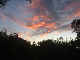 Rügens Strände mit dem Fahrrad erkunden - Kurzurlaub inkl. 1 x Abendessen