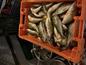 Rügens Strände mit dem Fahrrad erkunden - Kurzurlaub inkl. 1 x Abendessen