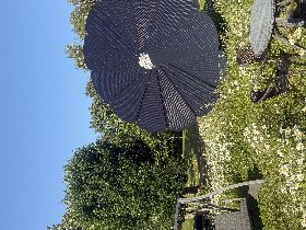 Rügens Strände mit dem Fahrrad erkunden - Kurzurlaub inkl. 1 x Abendessen