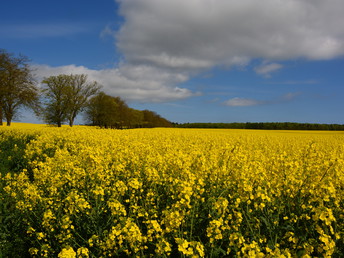 Frühlingsfrische Auszeit -3 Tage