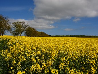 Frühlingsfrische Auszeit -3 Tage