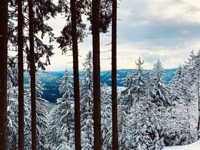 5=4 (5 Nächte bleiben, 4 Nächte bezahlen) - Auszeit im Schwarzwald