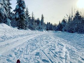 5=4 (5 Nächte bleiben, 4 Nächte bezahlen) - Auszeit im Schwarzwald