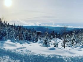 5=4 (5 Nächte bleiben, 4 Nächte bezahlen) - Auszeit im Schwarzwald