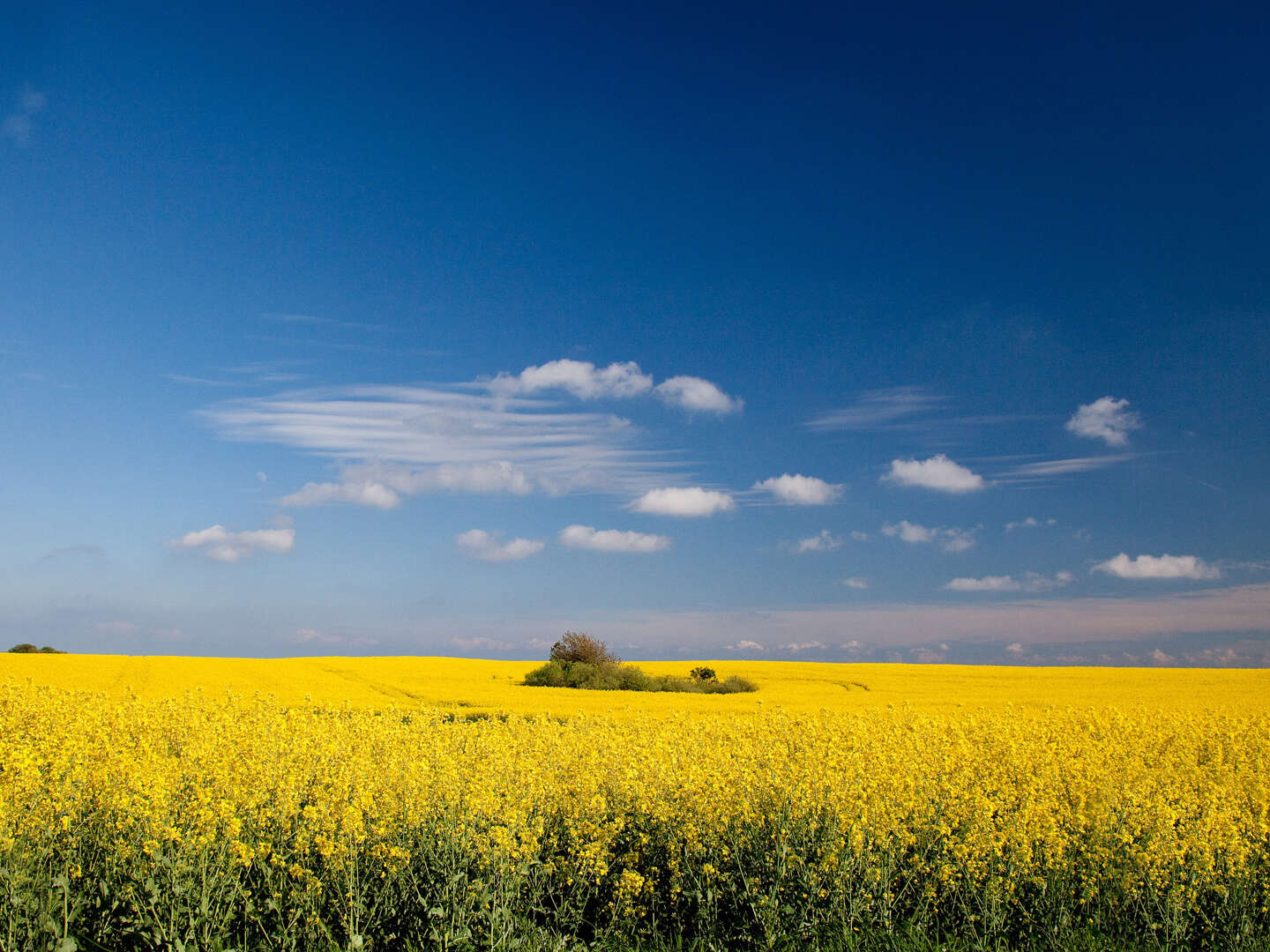 Kurzurlaub auf Rügen I 7 Nächte 