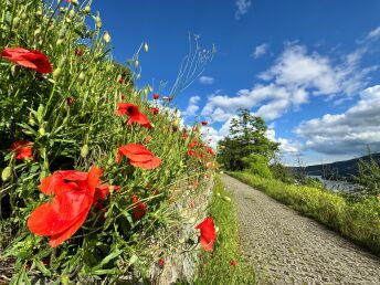 Große Ferien  - Aktiv & Genießer-Urlaub 7 Tage am Rhein